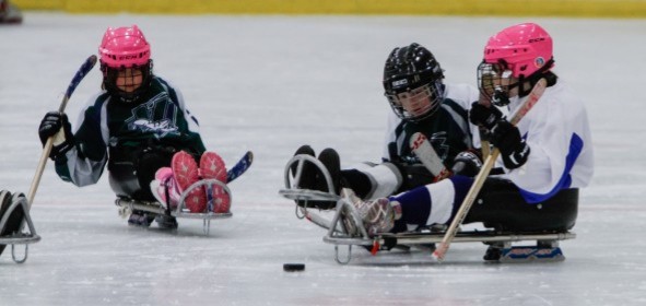 Sledge Hockey Players